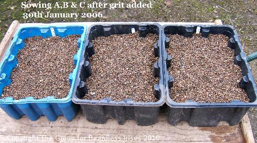Sowing A B & C 30.1.2006 after adding grit